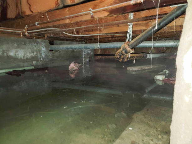 Carpet water damage restoration in Castleton On Hudson, NY