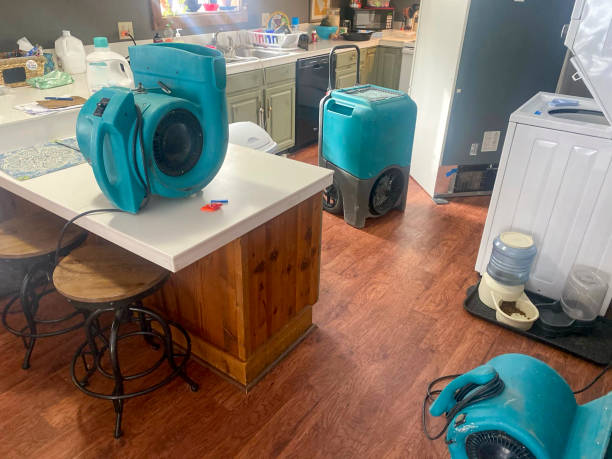 Best Carpet water damage restoration  in Castleton On Hudson, NY