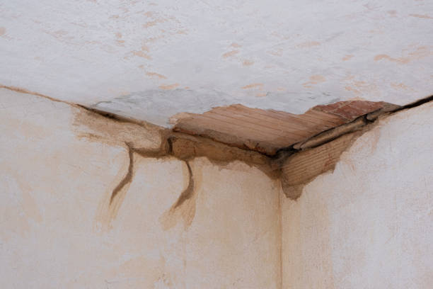 Best Water damage restoration near me  in Castleton On Hudson, NY