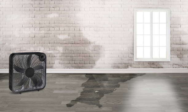  Castleton On Hudson, NY Water damage restoration Pros