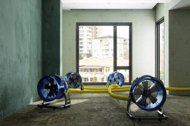 Best Water damage cleanup near me  in Castleton On Hudson, NY