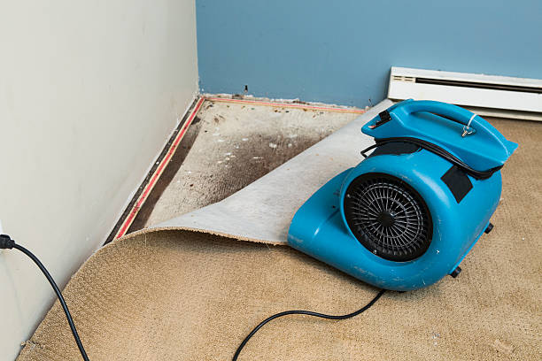 Best 24-hour water damage restoration  in Castleton On Hudson, NY